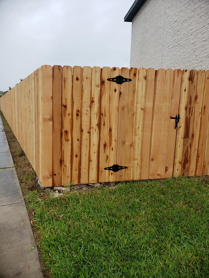 58382778_604848173322684_629702141862215680_n