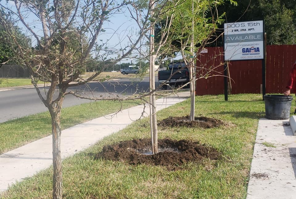 70586959_692036171270550_4025627362837135360_n