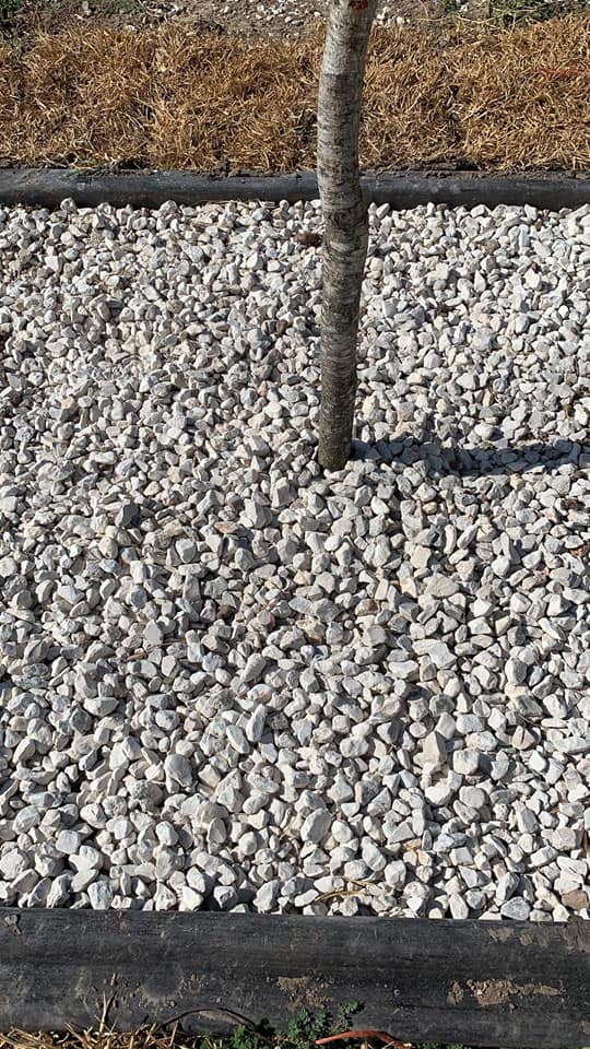 70631153_692036197937214_5579911911987740672_n