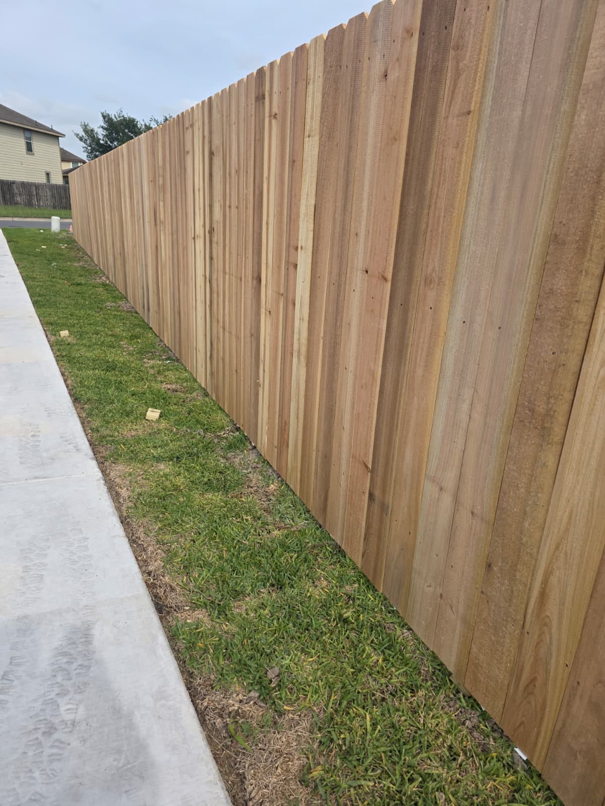 WhatsApp Image 2025-07-03 at 10.52.23 AM (2)