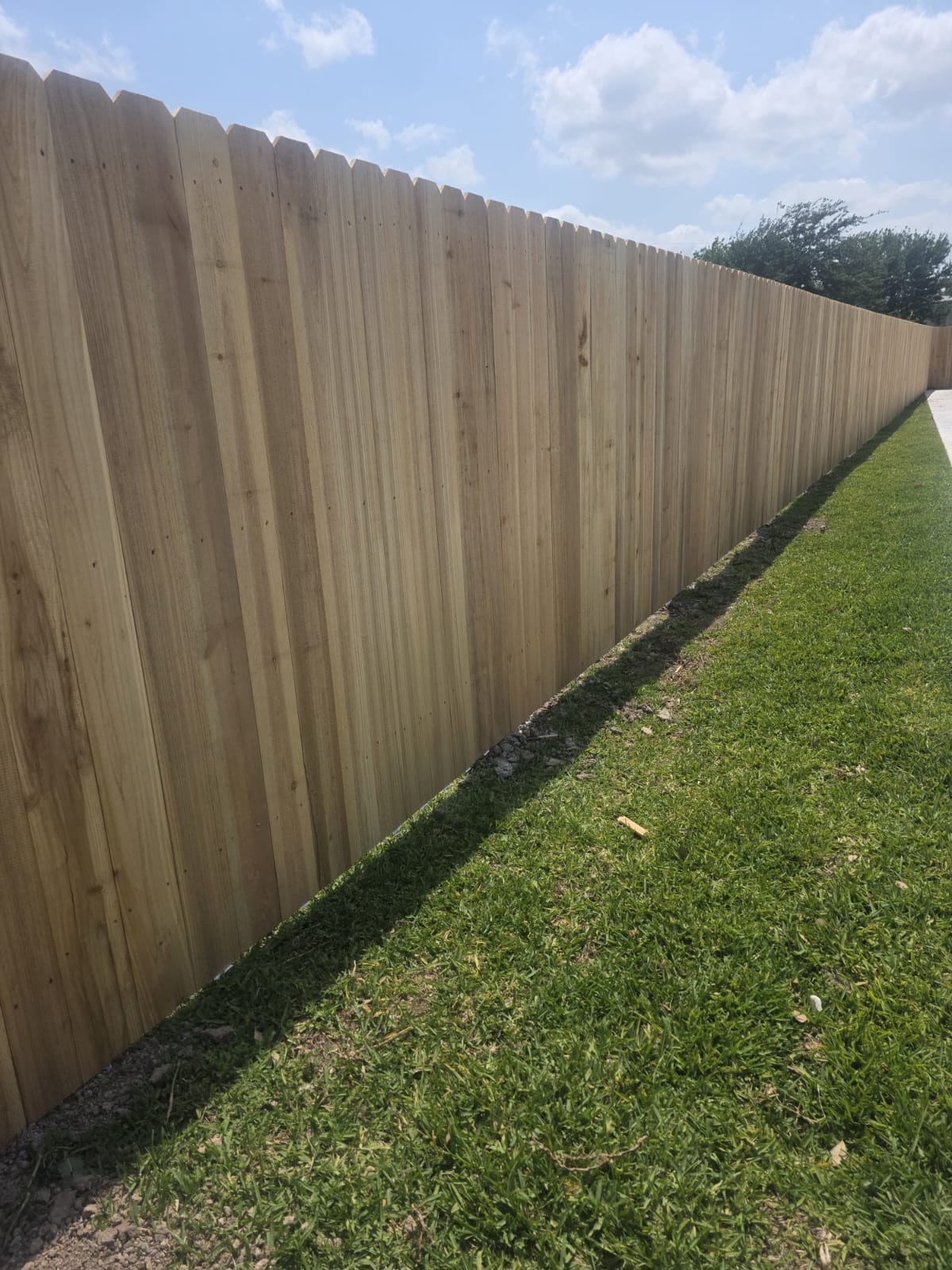 WhatsApp Image 2025-07-03 at 10.56.04 AM